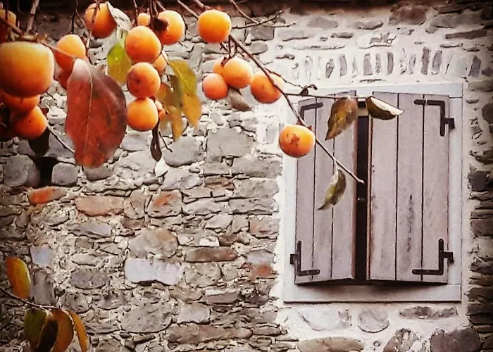 Bed and Breakfast Ai Chiosi