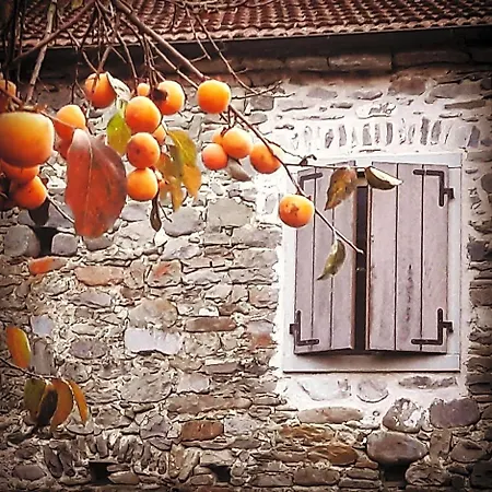 Ai Chiosi Bed & Breakfast
