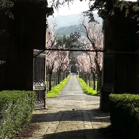 艾乔司住宿加早餐旅馆 蓬特雷莫利