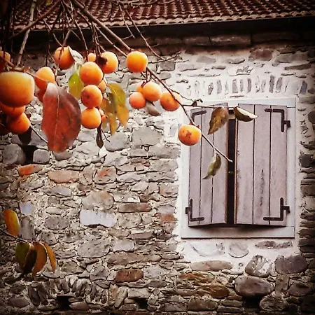Bed & Breakfast Ai Chiosi